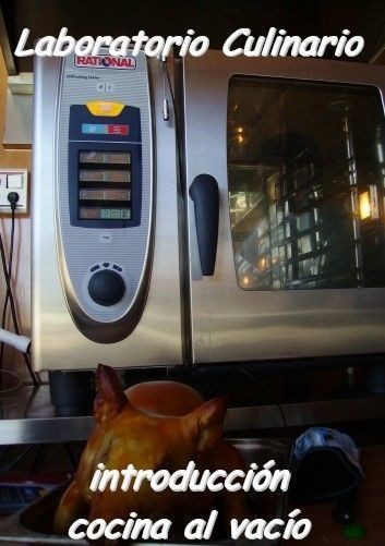Introduccion cocina al vacio