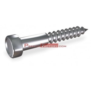 Tornillo tirafondo cabeza exagonal 40x6 + taco 40x8