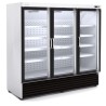 EXPOSITOR  PUERTAS CRISTAL. Refrigeración o congelación