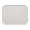 Bandeja servicio Roltex poliester America 460x360mm gris industrial dr849