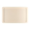 Bandeja servicio Roltex poliester GN1/1 530x325mm beige dr858