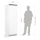 Congelador armario 1 puerta blanco Polar 365L cd613