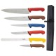Juego de cuchillos de cocina codificados por color Hygiplas s088