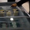 Islas de congelación Supermarkets, IC-159, IC-209 y IC-259