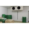 Panel revestimiento PVC P100 