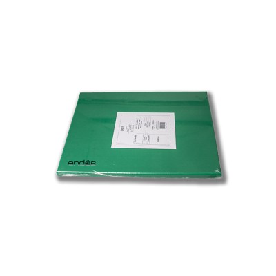 Tabla de corte de color verde, fabricada en polietileno biselada y cepillada con tacos antideslizantes. Modelo: PCH004