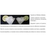 Máquina hielo Flonasa Polivalente. Especial cocktail cubito de 1 a 2.5 gramos