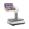 BALANZA JUPITER-M 20 V10 TIKET