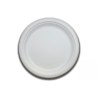 Plato llano compostable de un solo uso