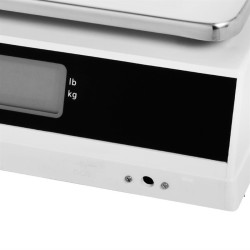 . Balanza de plataforma electrónica 4kg Weighstation