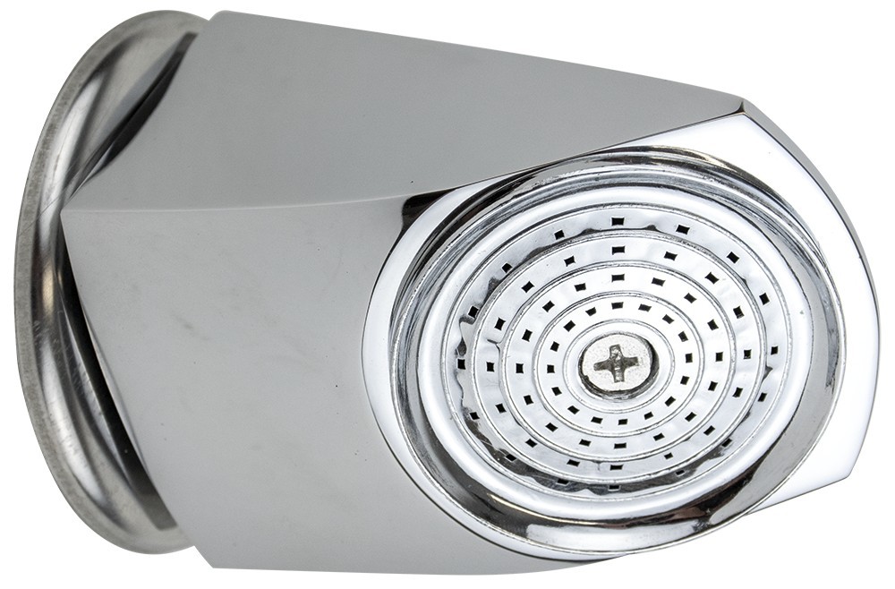 Rociador de ducha profesional