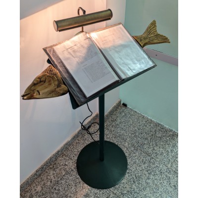 Pez expositor menús con luz