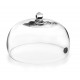 Campana ahumador 21x12cm. Lacor 61816