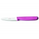 Cuchillo puntilla liso etern magenta 10. Lacor 39233