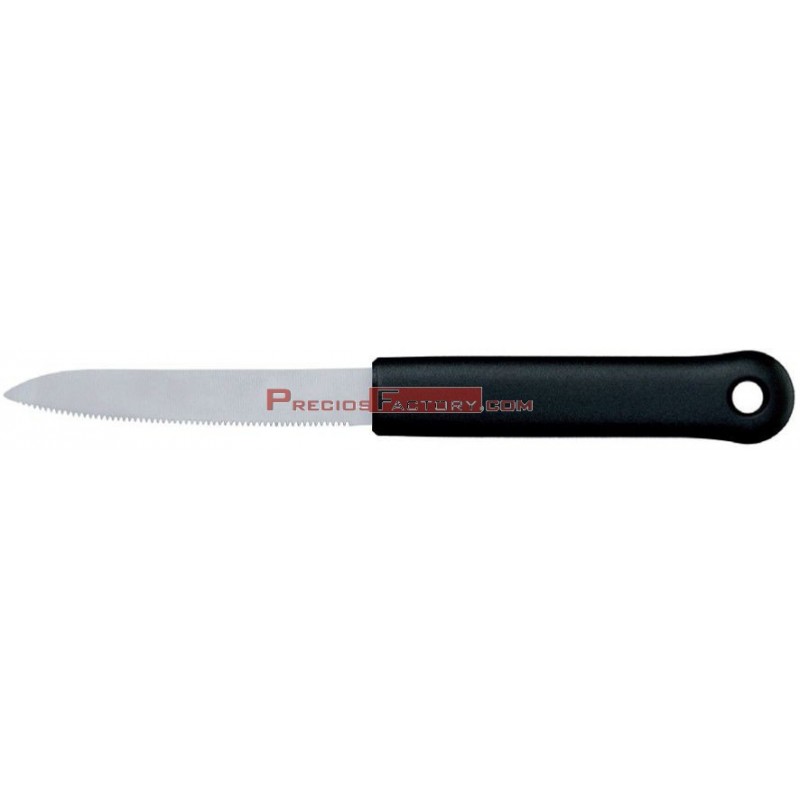 Afiladora Pulidora de cuchillos profesional GIESSER MESSER 200 INOX