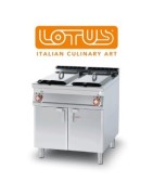 Lotus Gama 90