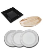 Platos desechables para fiestas y catering