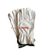 Guantes y Manoplas